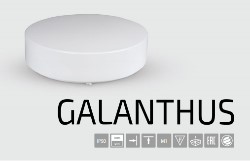   BS-9203-2x36 DALI (GALANTHUS)